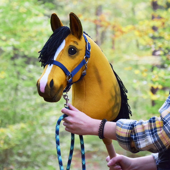 Ein Hobbyhorse von Mimis Ponyhof im Wald